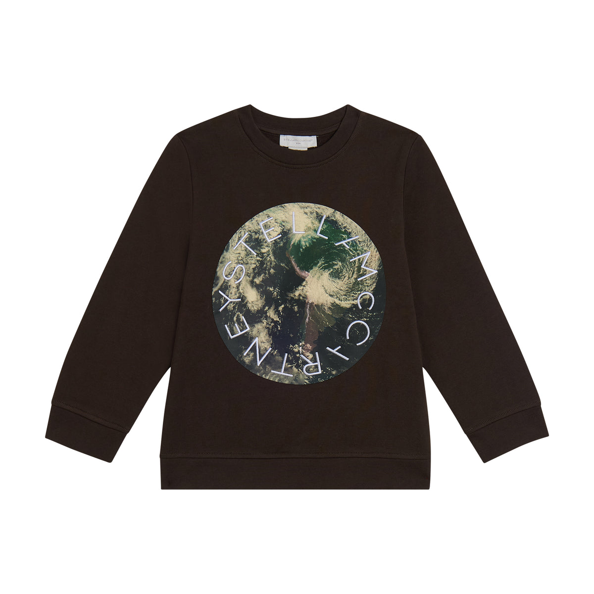 Stella McCartney Boys Grey Earth Sweatshirt